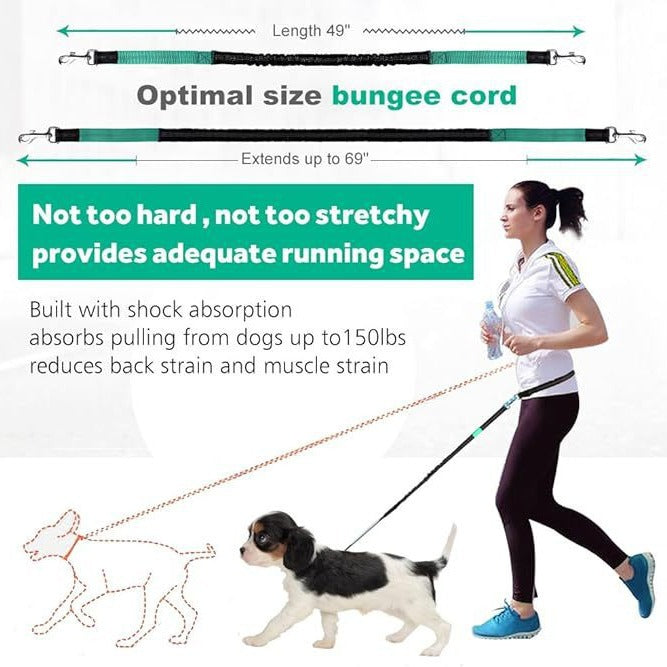 New Product Amazon Cross-Border Pet Dog Running Leash Set Reflective Night Running Waist Bag