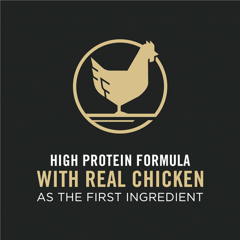 High Protein Cat Food