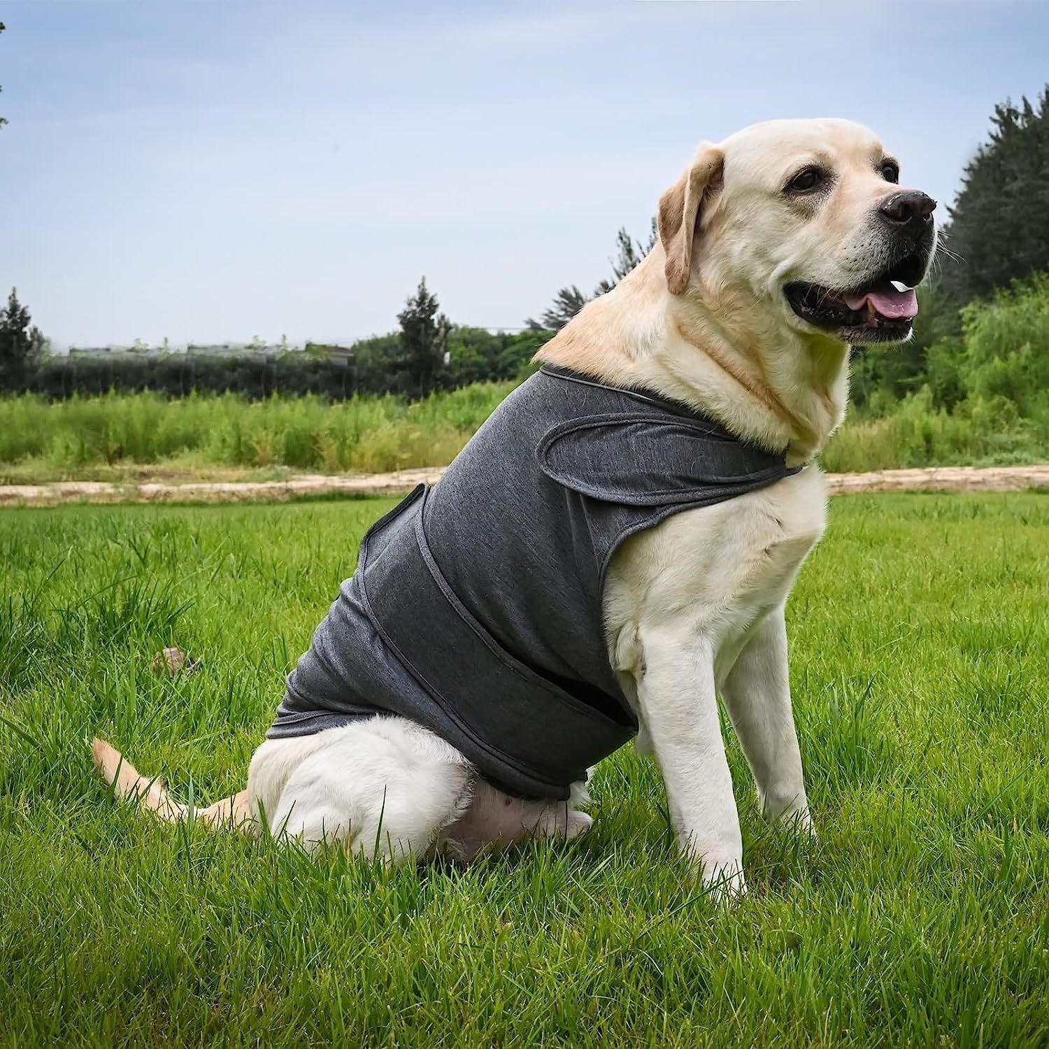 Pet Supplies Clothing Dog Acrylic