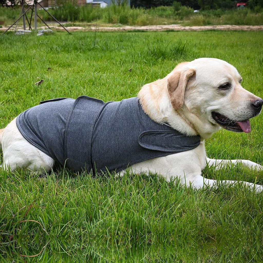 Pet Supplies Clothing Dog Acrylic