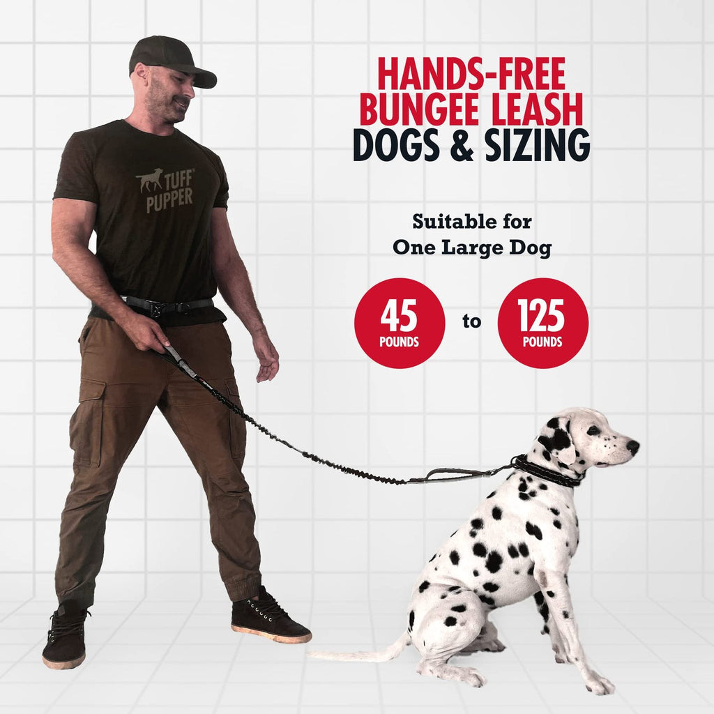 Cross-Border Pet Running Two-Piece Set With Waist Bag, Traction Leash, Anti-Shock Dog Walking Supplies, Dog Leash With Label Option