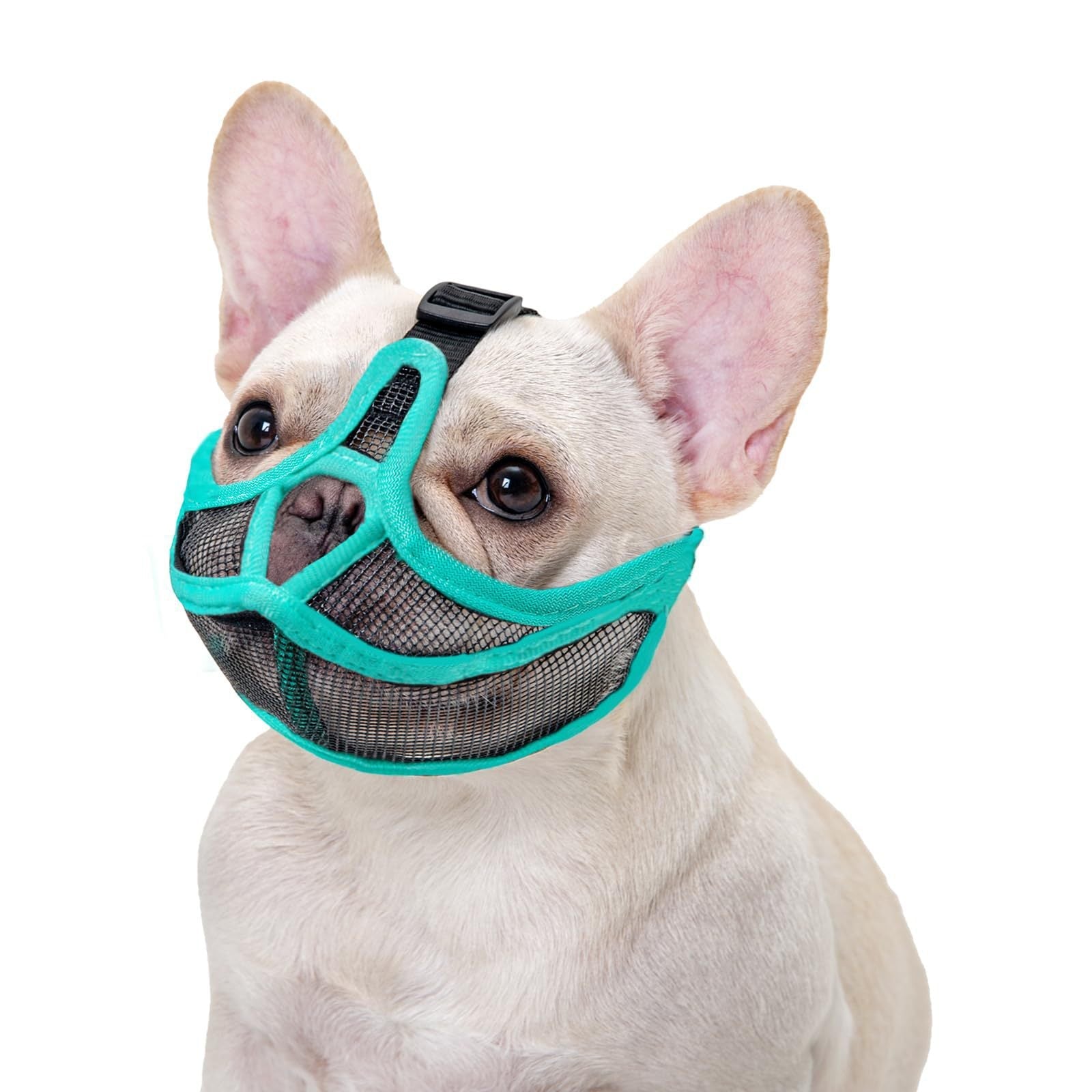 French Muzzle Anti-Bite Short-Snouted Breathable Pug Dog Face Mask Pet