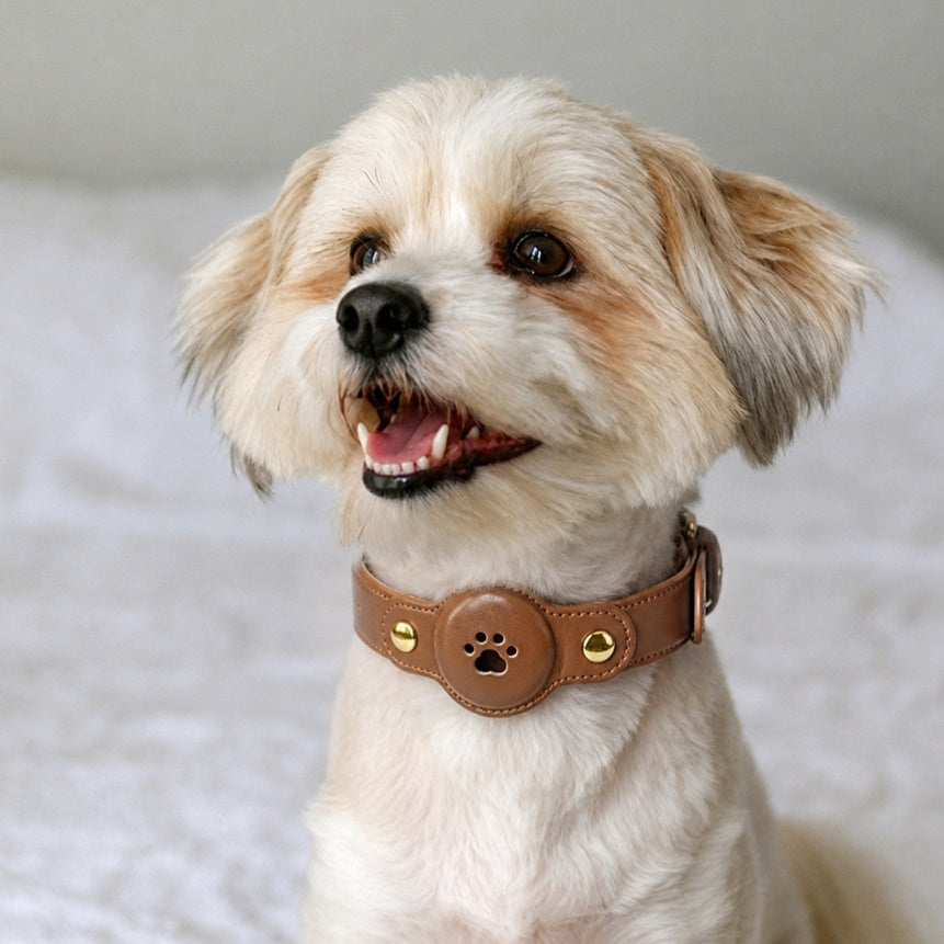 Fashionable PU Leather Pet GPS Collar