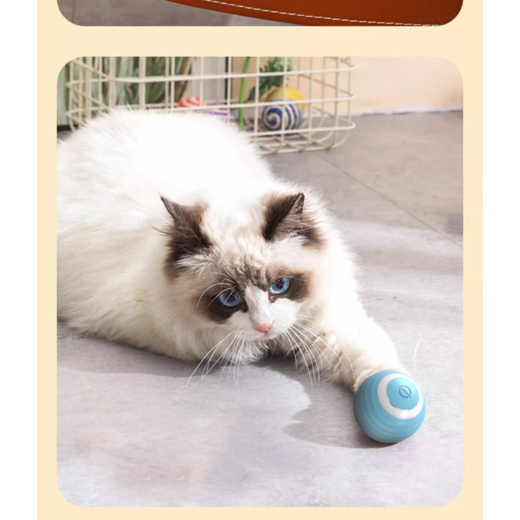 Automatic Self-Play Cat Toy Ball