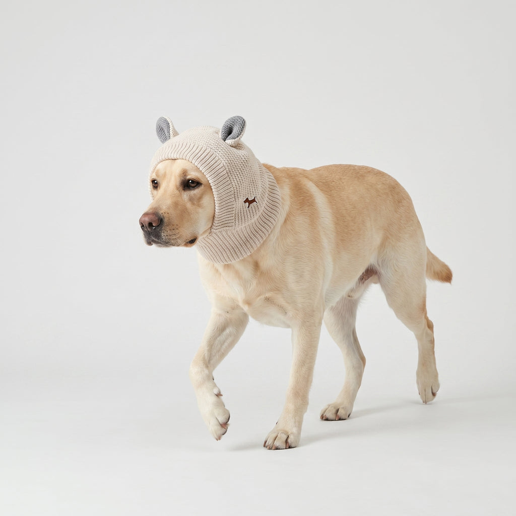 Rabbit Ear Dog Hat