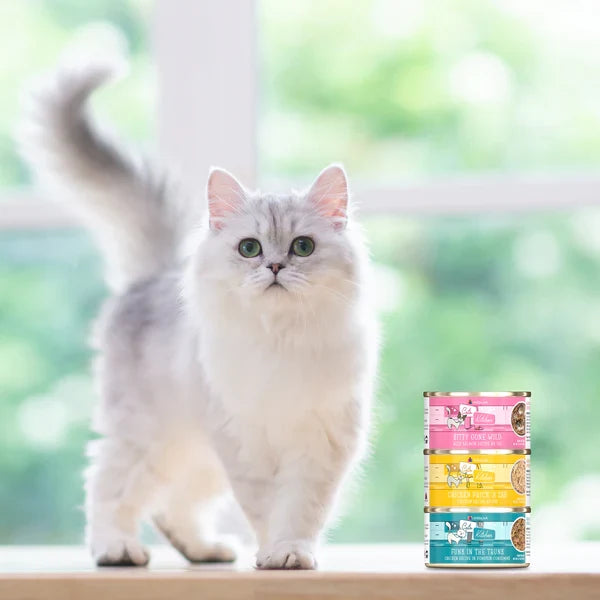 Cats in the Kitchen  Goldie Lox Chicken and Salmon Recipe Au Jus
