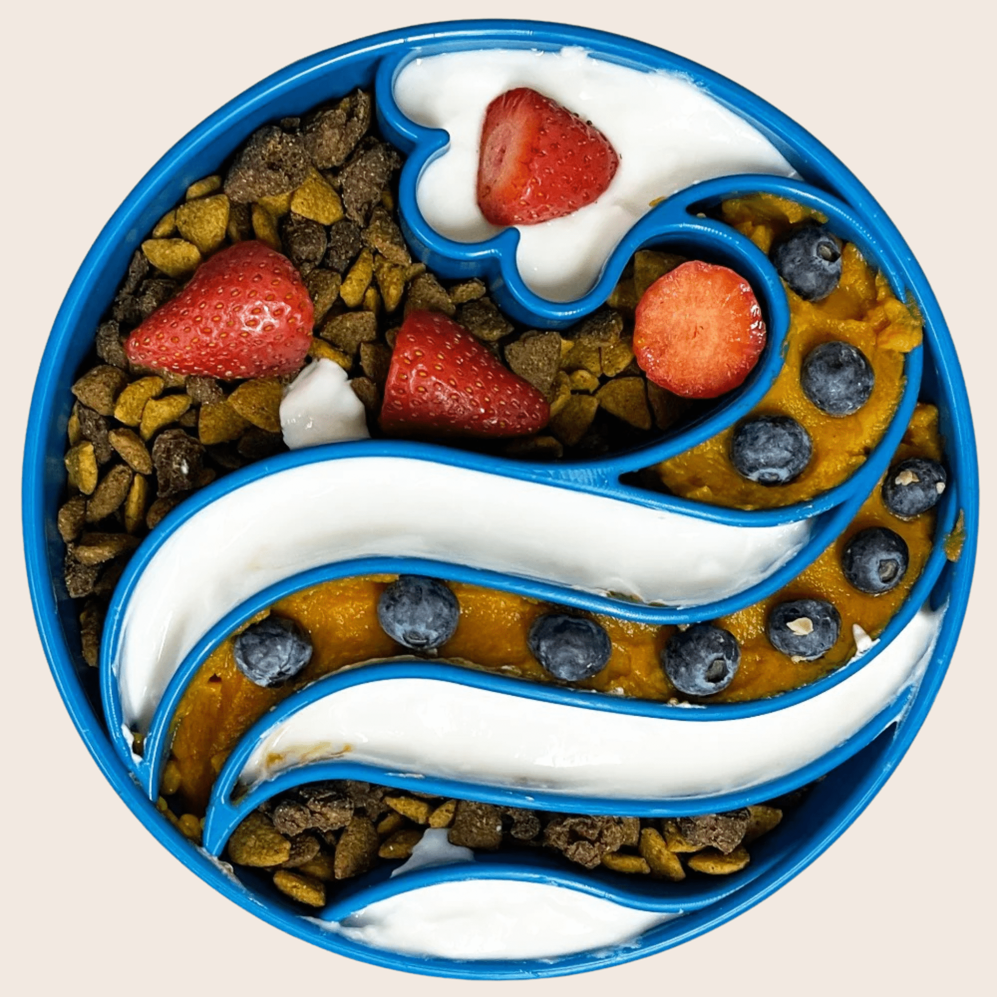 Slow Feeder Dog Bowls