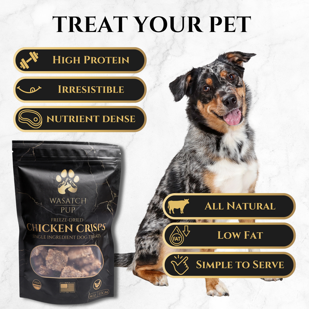 Freeze-Dried Chicken Crisps