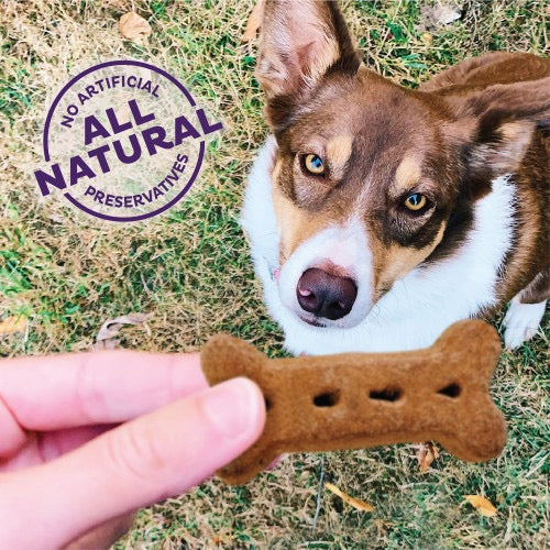 Old Mother Hubbard Liv'R'Crunch Mini Crunchy Dog Treats (20oz)