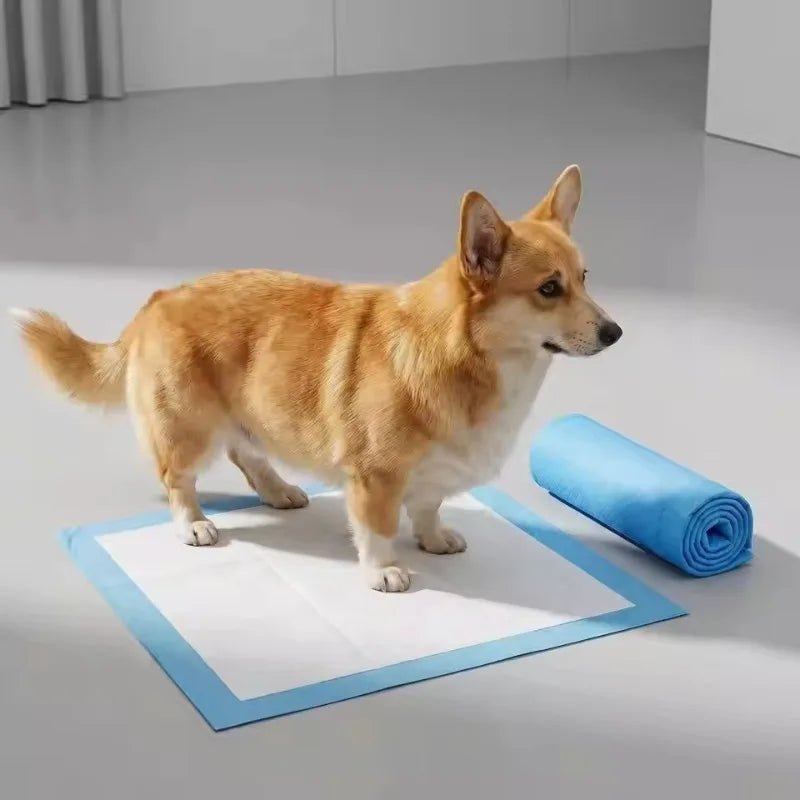 5/10PCS Pet Urine Pads Super Absorbent Disposable Pet Urine Pad Vehicles During Camping Household Cleaning Travel Supplies