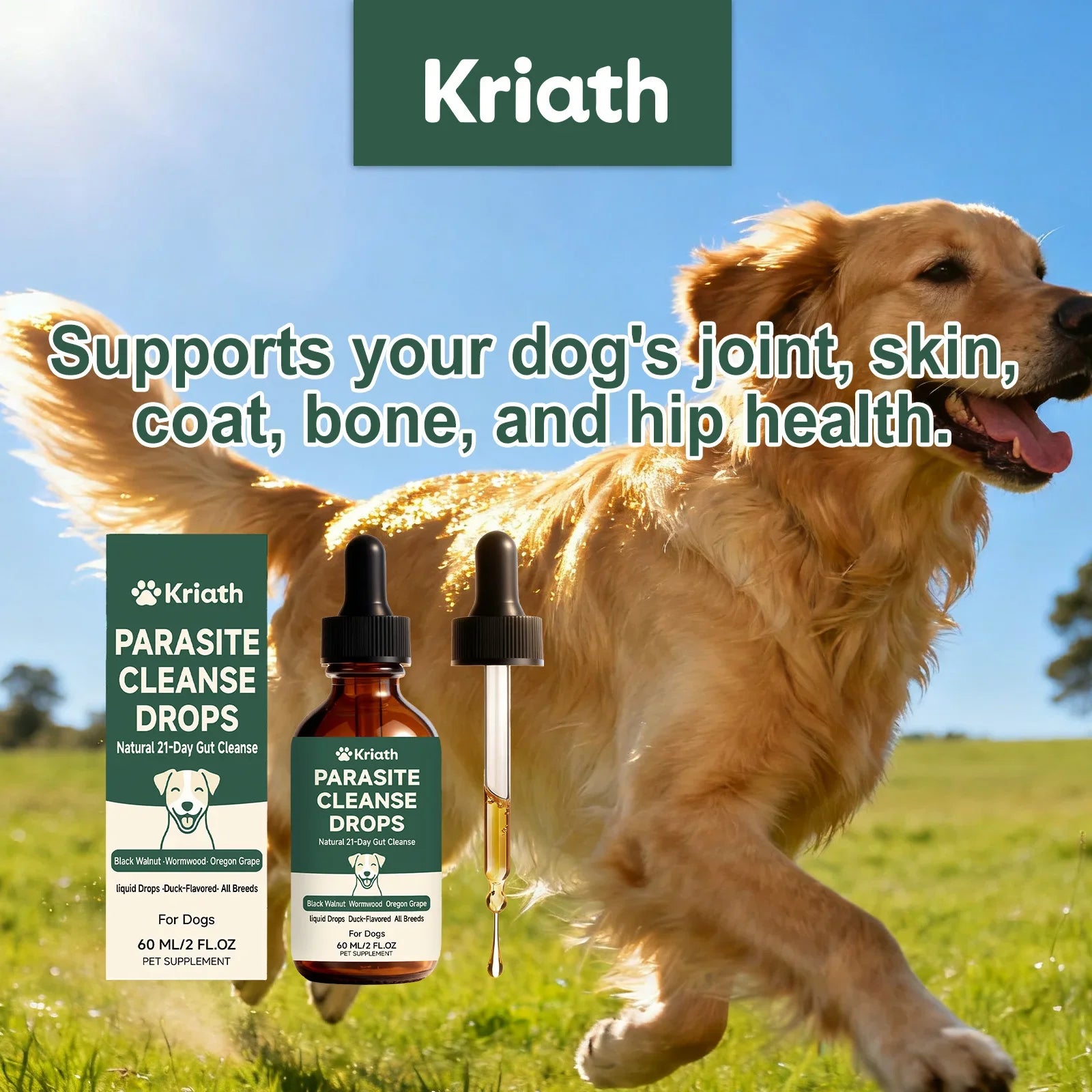 Dog Gut Care Oral Drops, Mild Formula Pet Digestive Tract Support Liquid, Comfort Gastrointestinal Care Supplement for Dogs