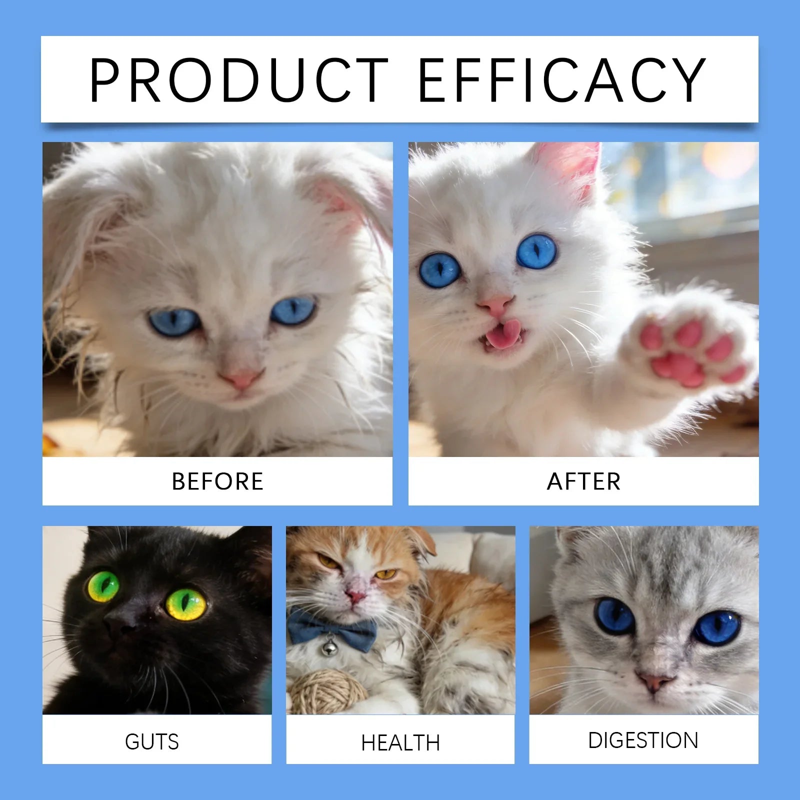 Kriath Cat Probiotic Liquid Drops 30ml Mild Formula Pet Gut Health Supplement Support Intestinal Balance for Cats