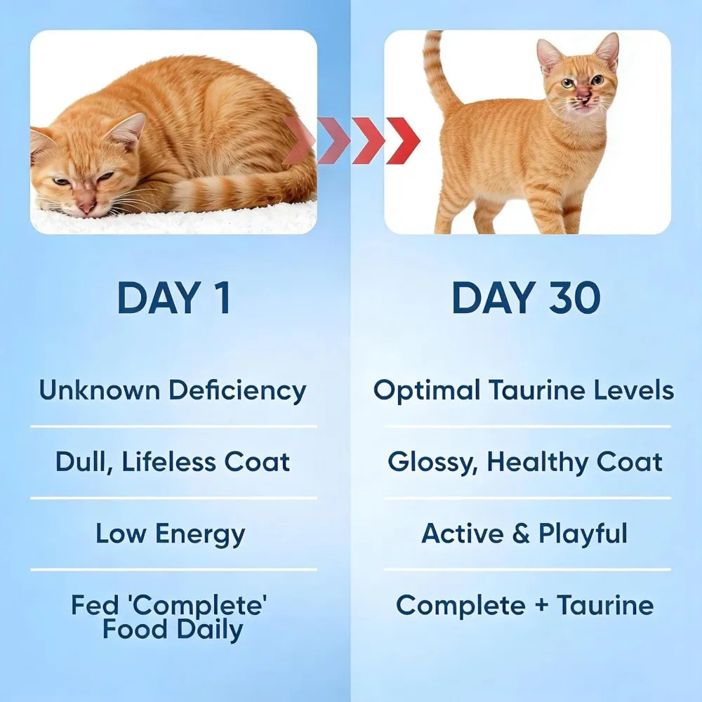 200g Taurine For Cats Taurine Powder Supplement Support Support Heart Health And Maintain Daily Nutritional Supplements