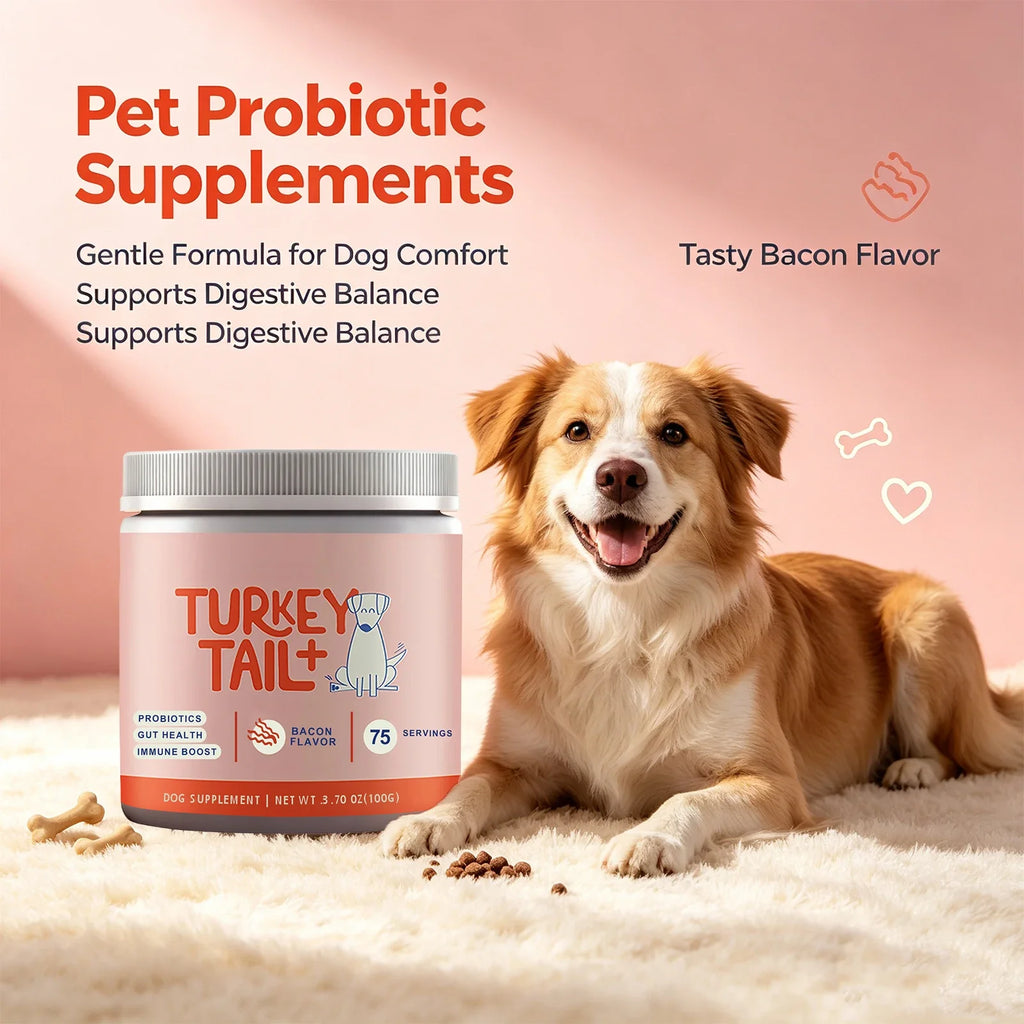 Dog Probiotic Powder Bacon Flavor Support Gut Health Immune Boost Pet Daily Dietary Supplement for Dogs Pet Health Care