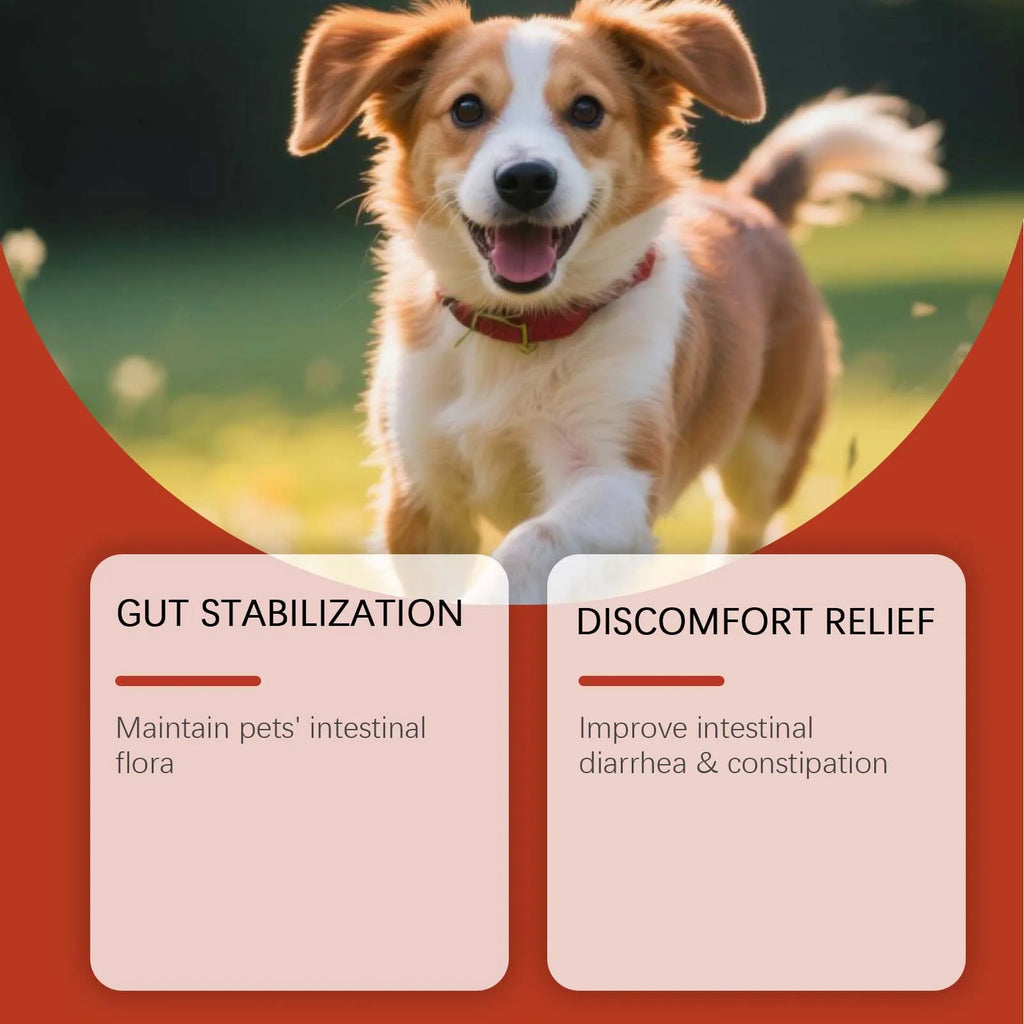 Pet Probiotic Supplement - Gentle Formula for Dogs, Daily Care, Comfort Support, Digestive Health and Immune Boost