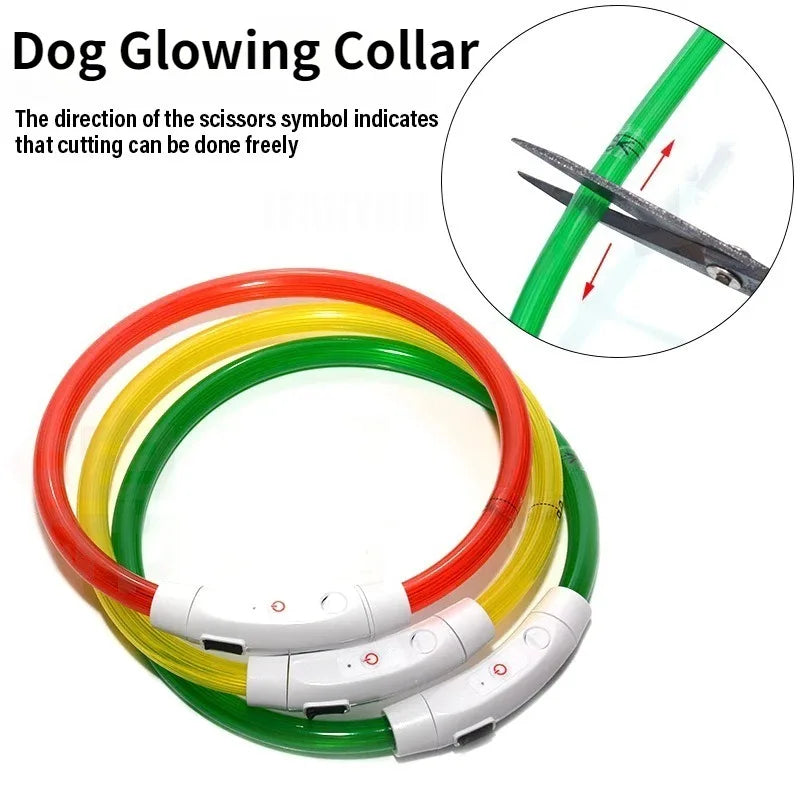 Rechargeable Fiber Optic Dog Collar Luminous Night Glow Pet Accessory Detachable Safety Collar for Enhanced Nighttime Visibi