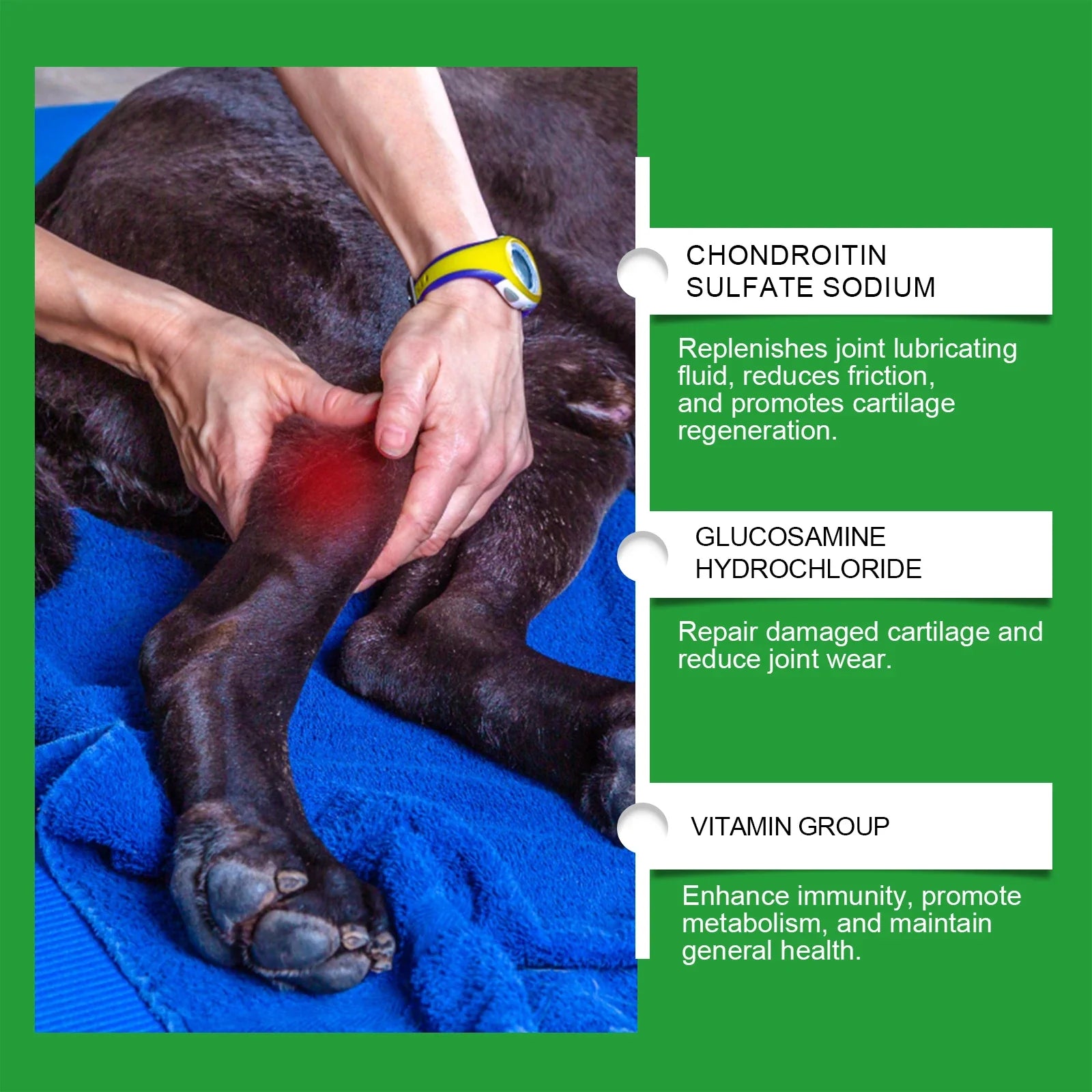 Dog Joint Care Tablets, Support Joint Mobility, Boost Vitality, Maintain Cartilage Health, Daily Nutritional Support For Dogs