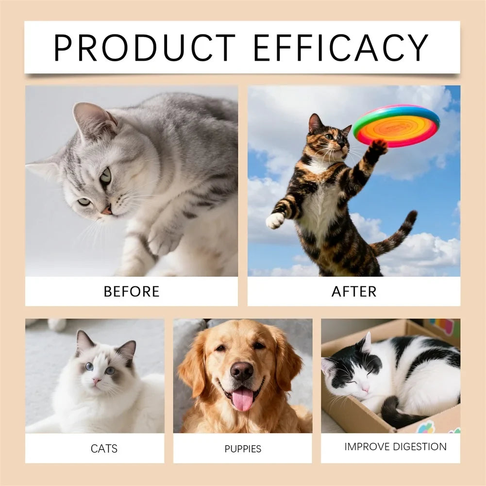 60ml Vitamins B Complex For Dogs Cats Immune Support Pet Body Care Drop Natural Grooming Drops For Pet Fur Growth & Health Skin