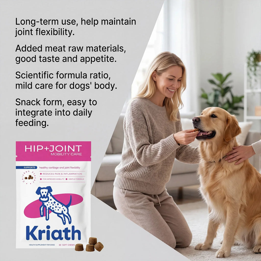 Dog Joint Supplement Soft Chews Cartilage Care Immune Boost Mobility Support Joint Care Support Immune System For All Ages Puppy