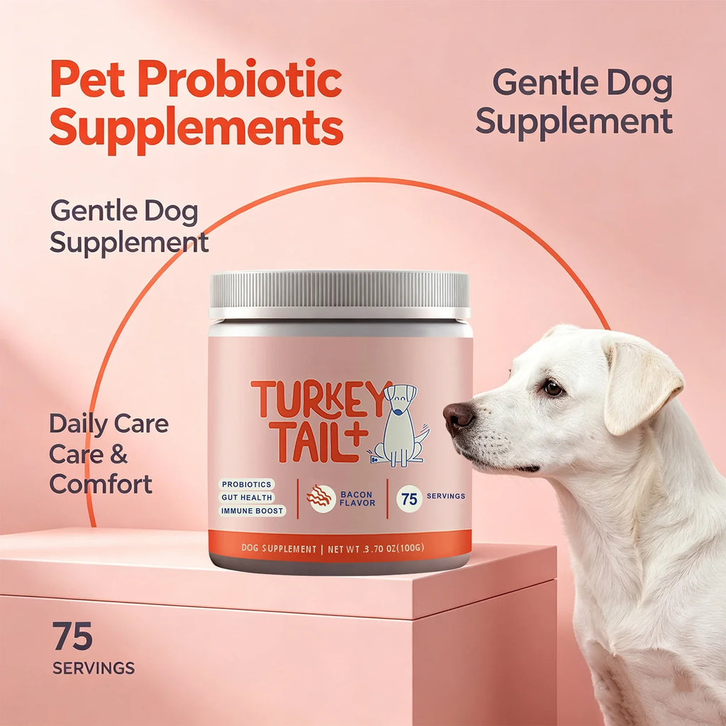 Dog Probiotic Powder Bacon Flavor Support Gut Health Immune Boost Pet Daily Dietary Supplement for Dogs Pet Health Care