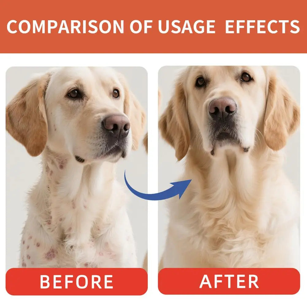 Mushroom Powder for Dogs & Cats Bacon Flavor Pet Immune Support Supplement Natural Gut Health Powder with Sea Salt