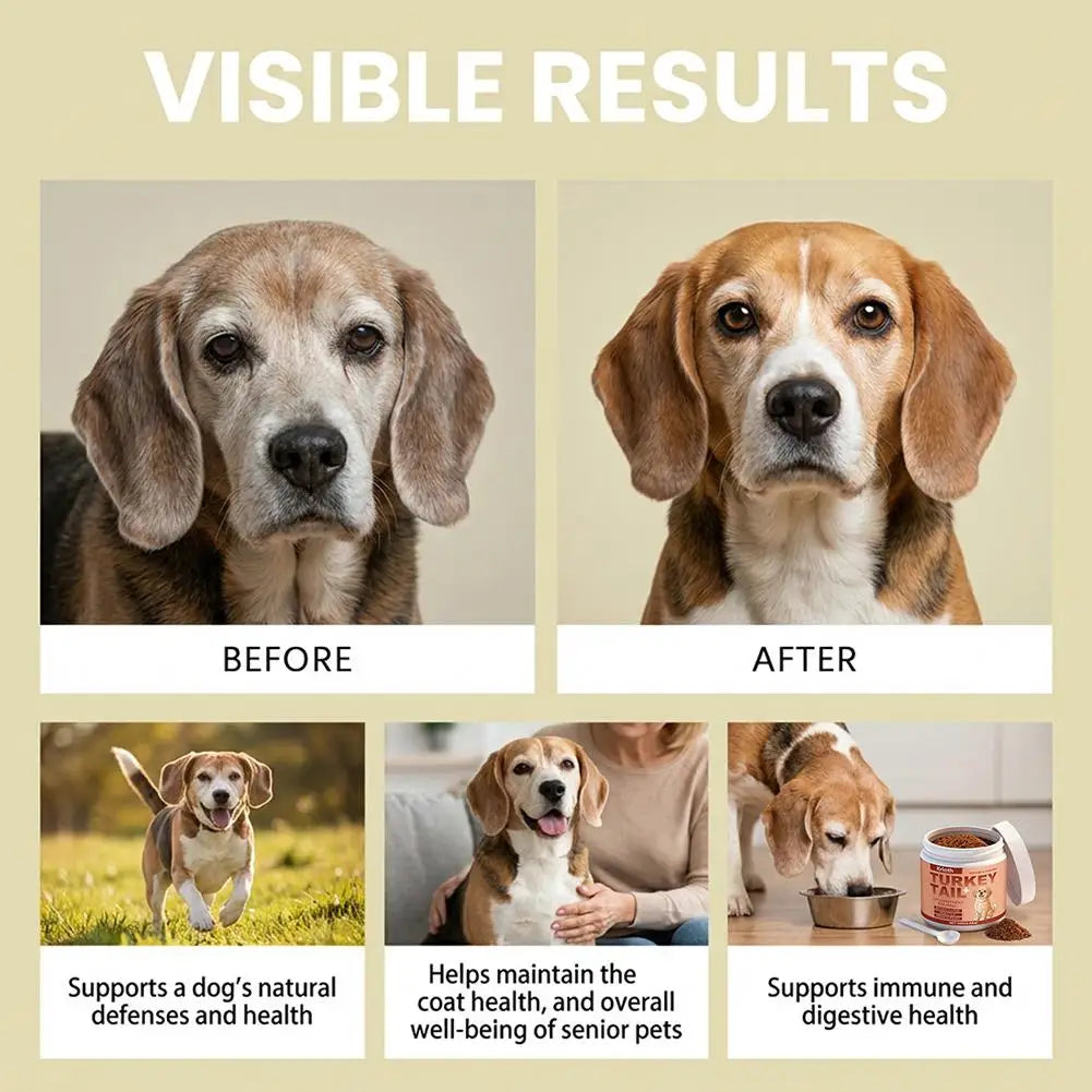 Dog Immune Support Supplement – 100g Daily Immunity Defense, Promotes Healthy Immune System Function for Breeds, Easy-Mix Powder