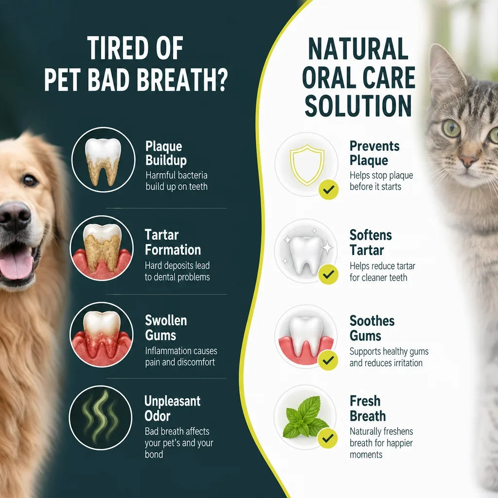 Natural Pet Dental Powder Clean Dog Teeth, Plaque Remover, Breath Treatment for Cats, Tartar Removal, Oral Care Food Supplement