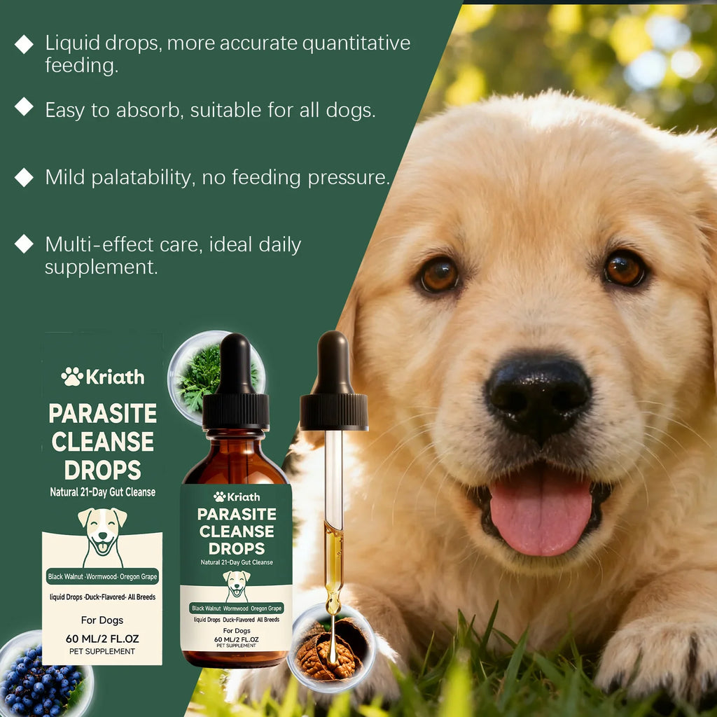 Dog Gut Care Oral Drops, Mild Formula Pet Digestive Tract Support Liquid, Comfort Gastrointestinal Care Supplement for Dogs