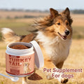 100g Dog Immune Support Supplement – Daily Immunity Defense, Promotes Healthy Immune System Function for Breeds, Easy-Mix Powder