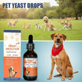 60ml Pet Yeast Drops for Dogs And Cats - Supports Gut Health Nutrient Absorption And Enhances Overall Quality of Life
