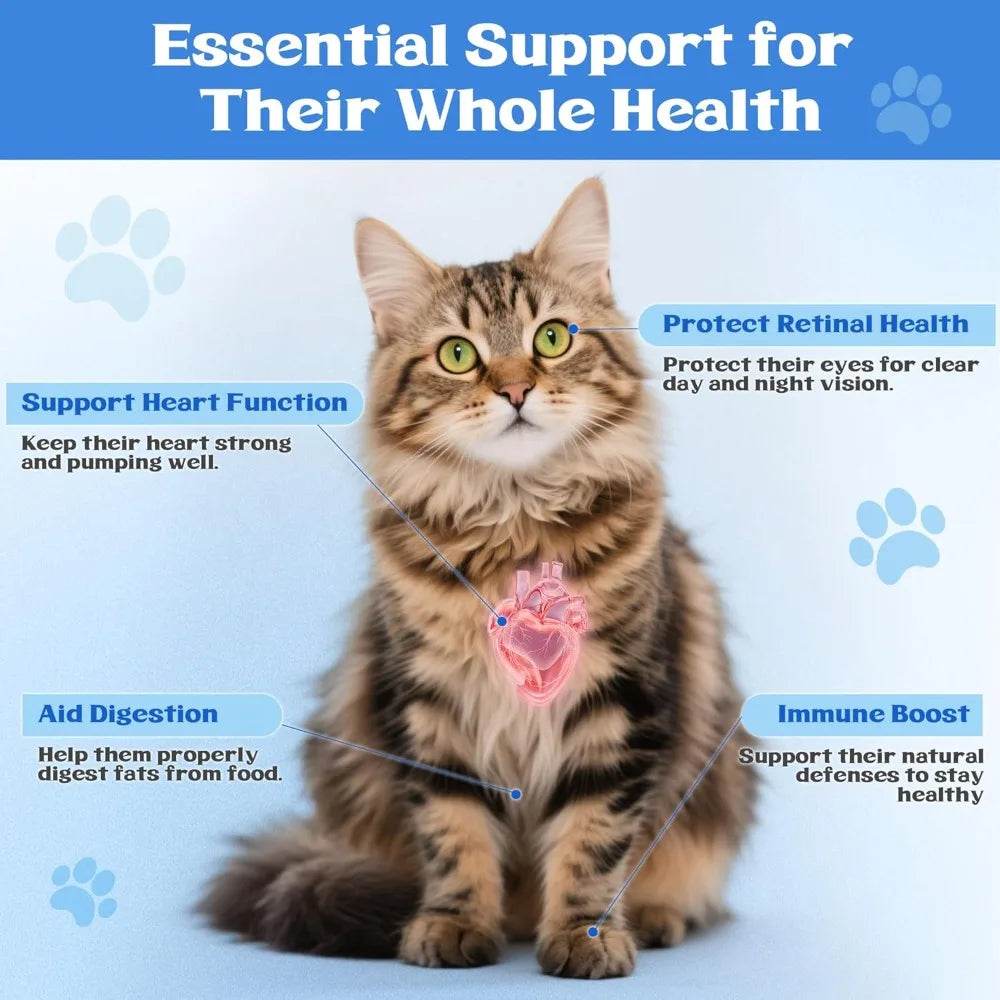 200g Taurine For Cats Taurine Powder Supplement Support Support Heart Health And Maintain Daily Nutritional Supplements