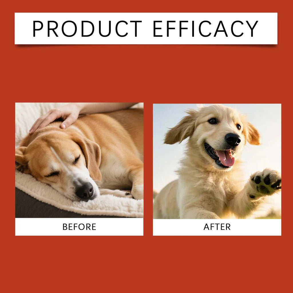 Pet Probiotic Supplement - Gentle Formula for Dogs, Daily Care, Comfort Support, Digestive Health and Immune Boost