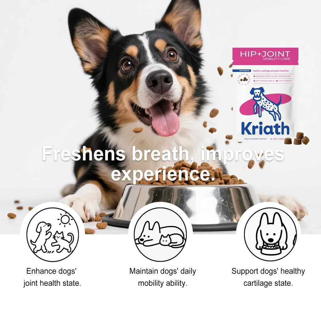 Dog Joint Supplement Soft Chews Cartilage Care Immune Boost Mobility Support Joint Care Support Immune System For All Ages Puppy