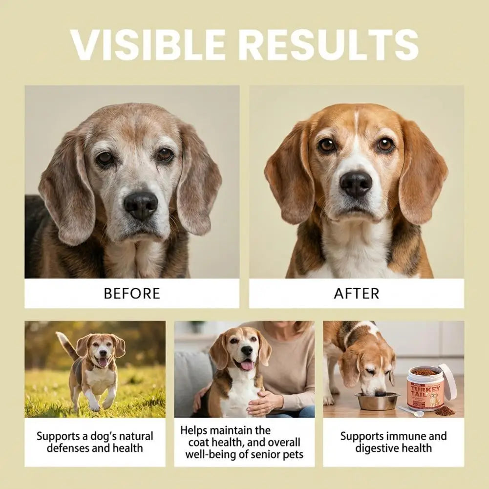 100g Bacon Flavored Pet Health Supplement Elderly Dog Maintenance Joint Intestinal Skin Care Dog Probiotics Immune Support Agent