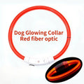 Rechargeable Fiber Optic Dog Collar Luminous Night Glow Pet Accessory Detachable Safety Collar for Enhanced Nighttime Visibi