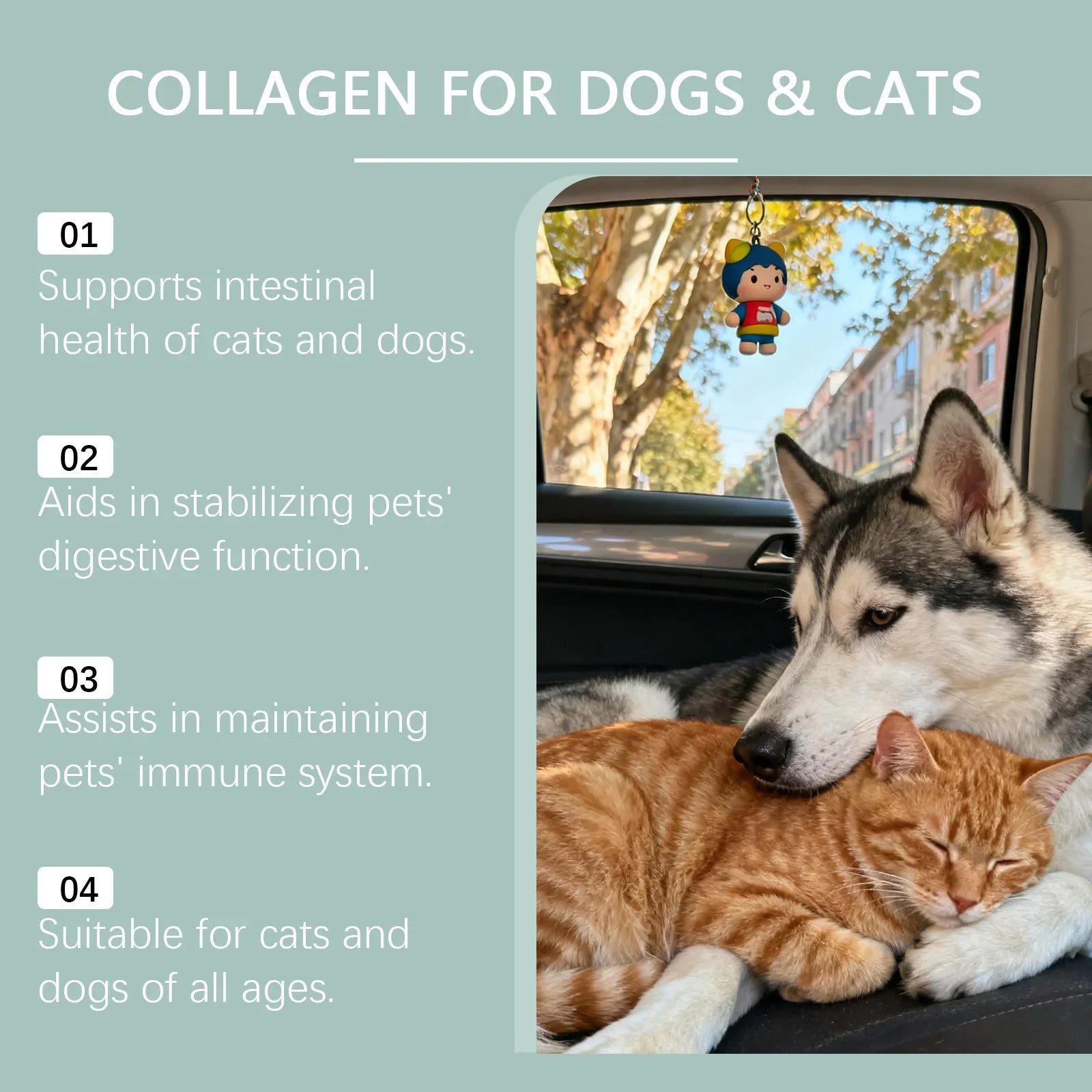 Pet Collagen Drops Joint Care Skin Coat Nourish Gut Digestive Support Immune System Maintenance Liquid Nutrition Supplement 60ml