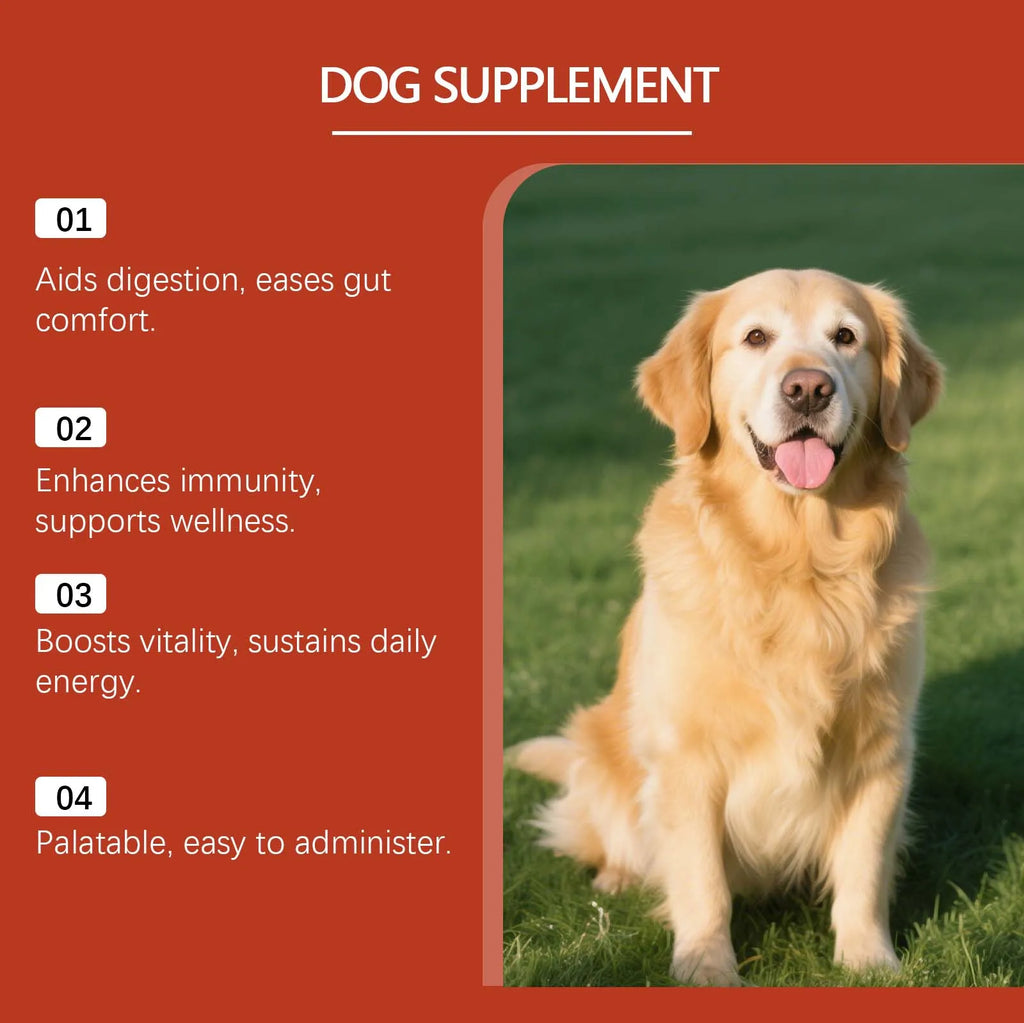 Pet Probiotic Supplement - Gentle Formula for Dogs, Daily Care, Comfort Support, Digestive Health and Immune Boost