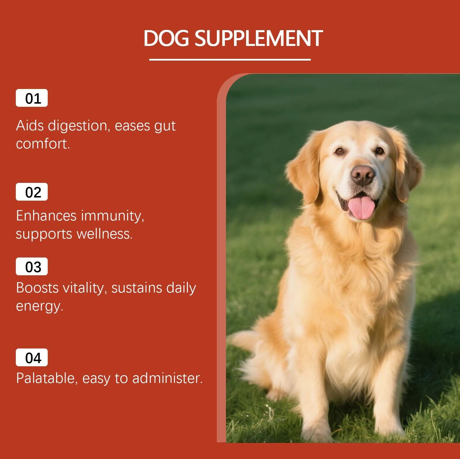 Pet Probiotic Supplement - Gentle Formula for Dogs, Daily Care, Comfort Support, Digestive Health and Immune Boost