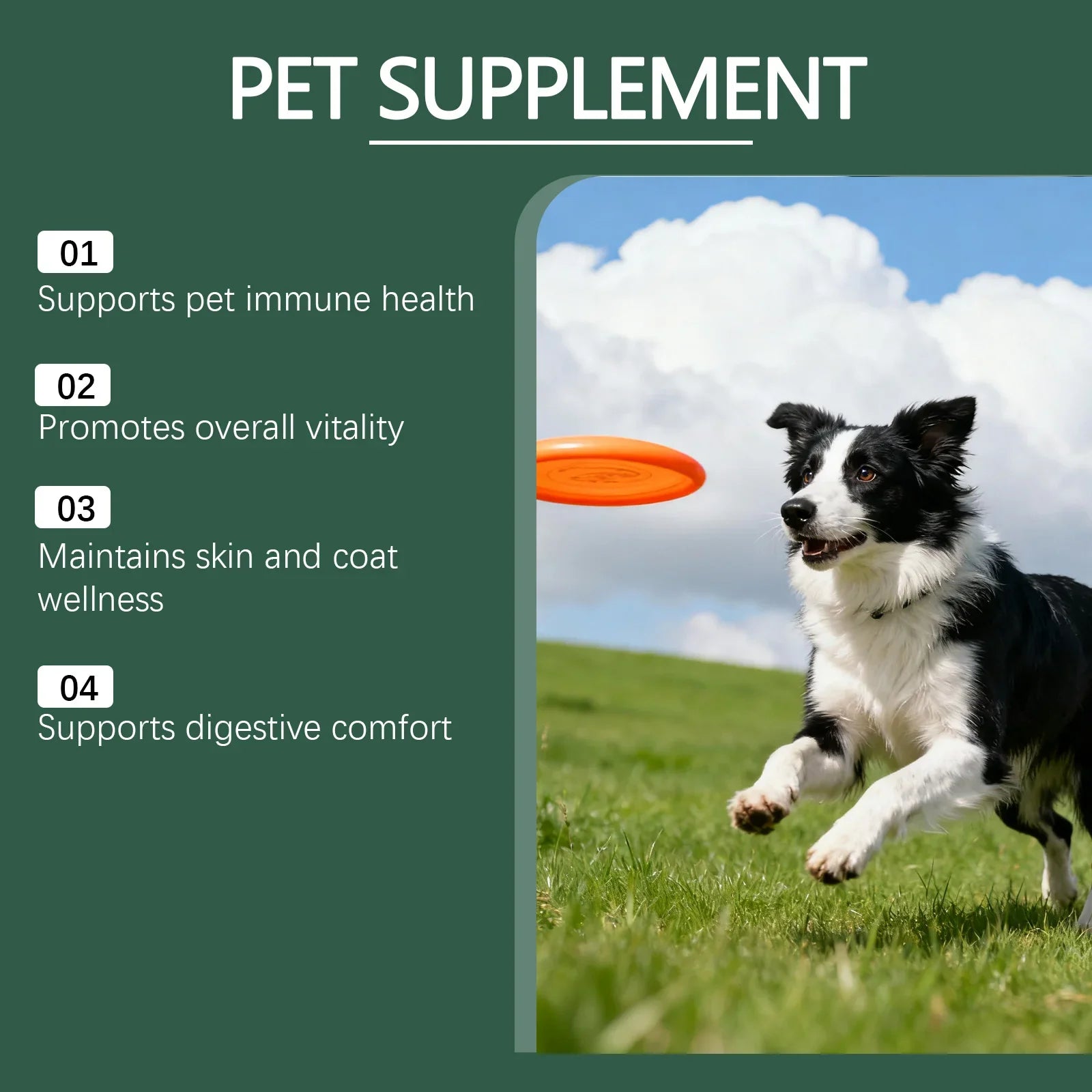 Dog Gut Care Oral Drops, Mild Formula Pet Digestive Tract Support Liquid, Comfort Gastrointestinal Care Supplement for Dogs