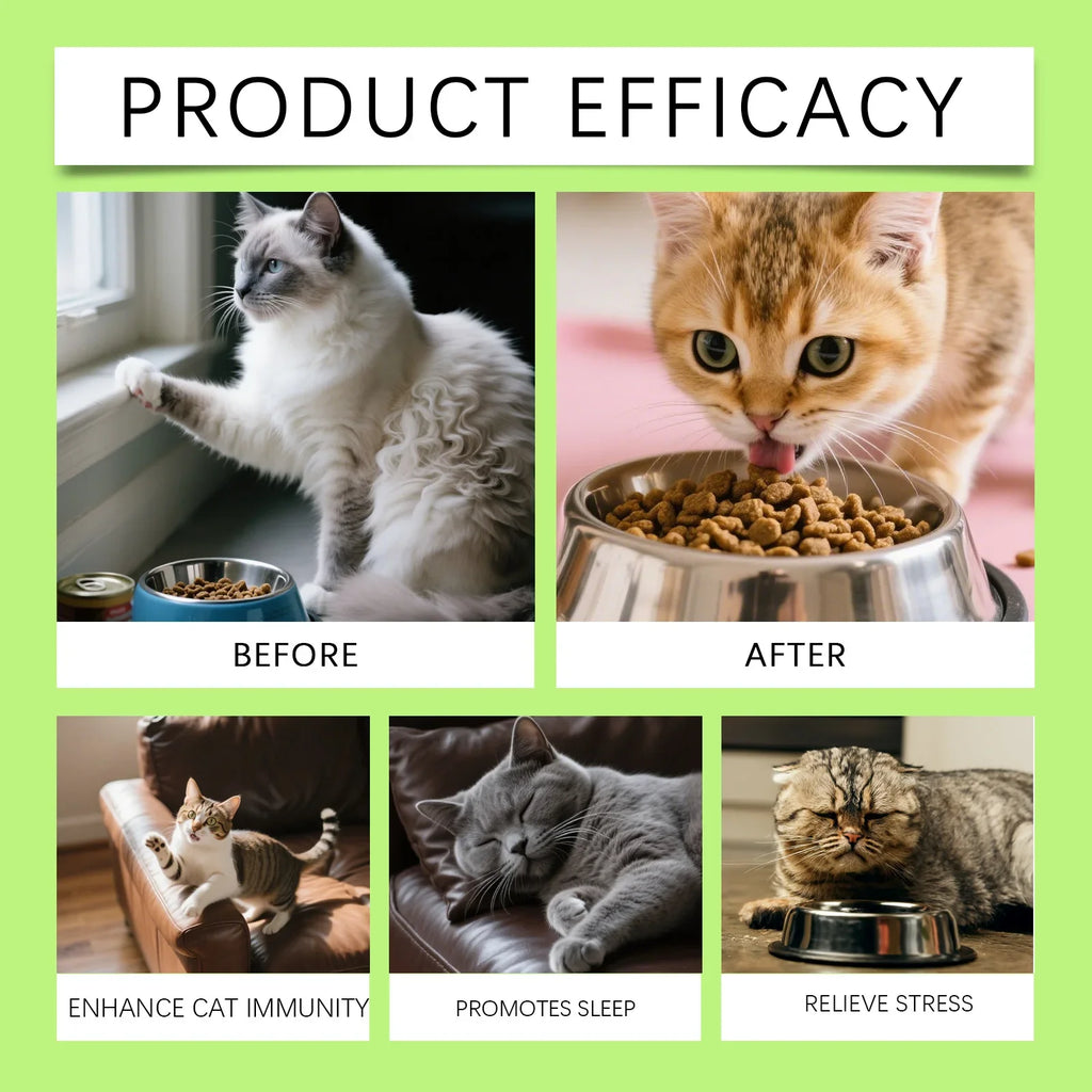 3 in 1 Cats Probiotics Drops Gut Immunity Digestive Support Beneficial Bacteria Allergy Itch Relief All Cats Multivitamin Liquid