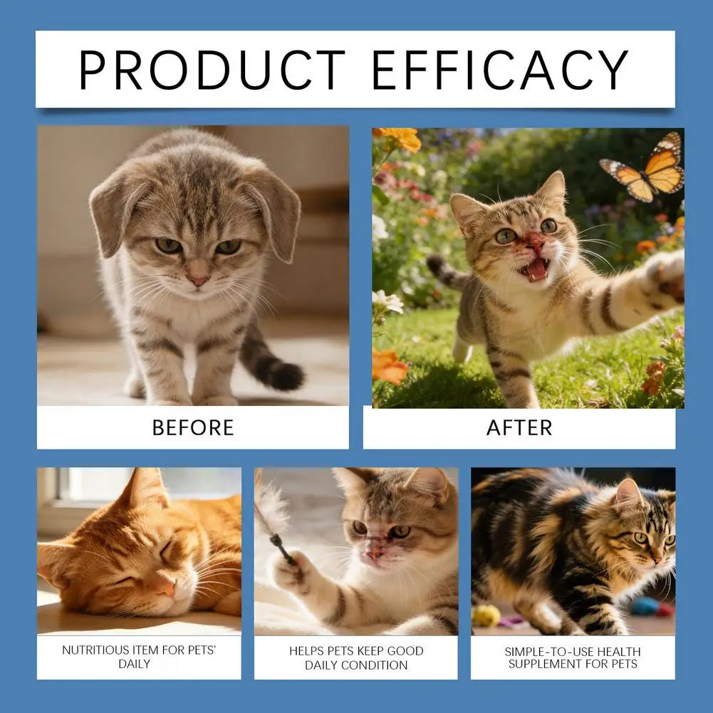 200g Cat Body Health Care Powder 99.9% Pure Taurine VE Zinc Supports Digestion & Enhancing Immunity for Pets with Sensitive Inte