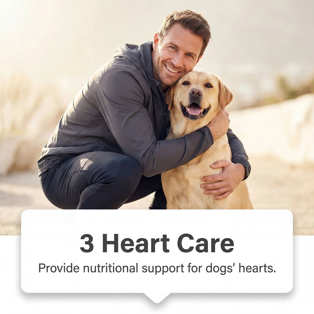 Premium Salmon Fish Oil For Pets Omega 3 Shiny Fur Immune Support Pets Coat Heart Health Dog Cat Heart Skin Nutrition Supplement