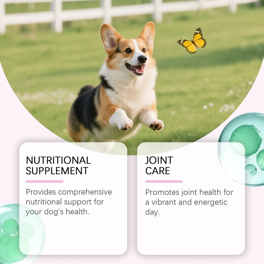 60ml Dog Collagen Drops Support Bone Joint Health Pet Hair Skin Care Dietary Supplement Mild Formula Pet Nutritional Solution