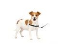 Petsafe Easy Walk Dog Harness Black Small