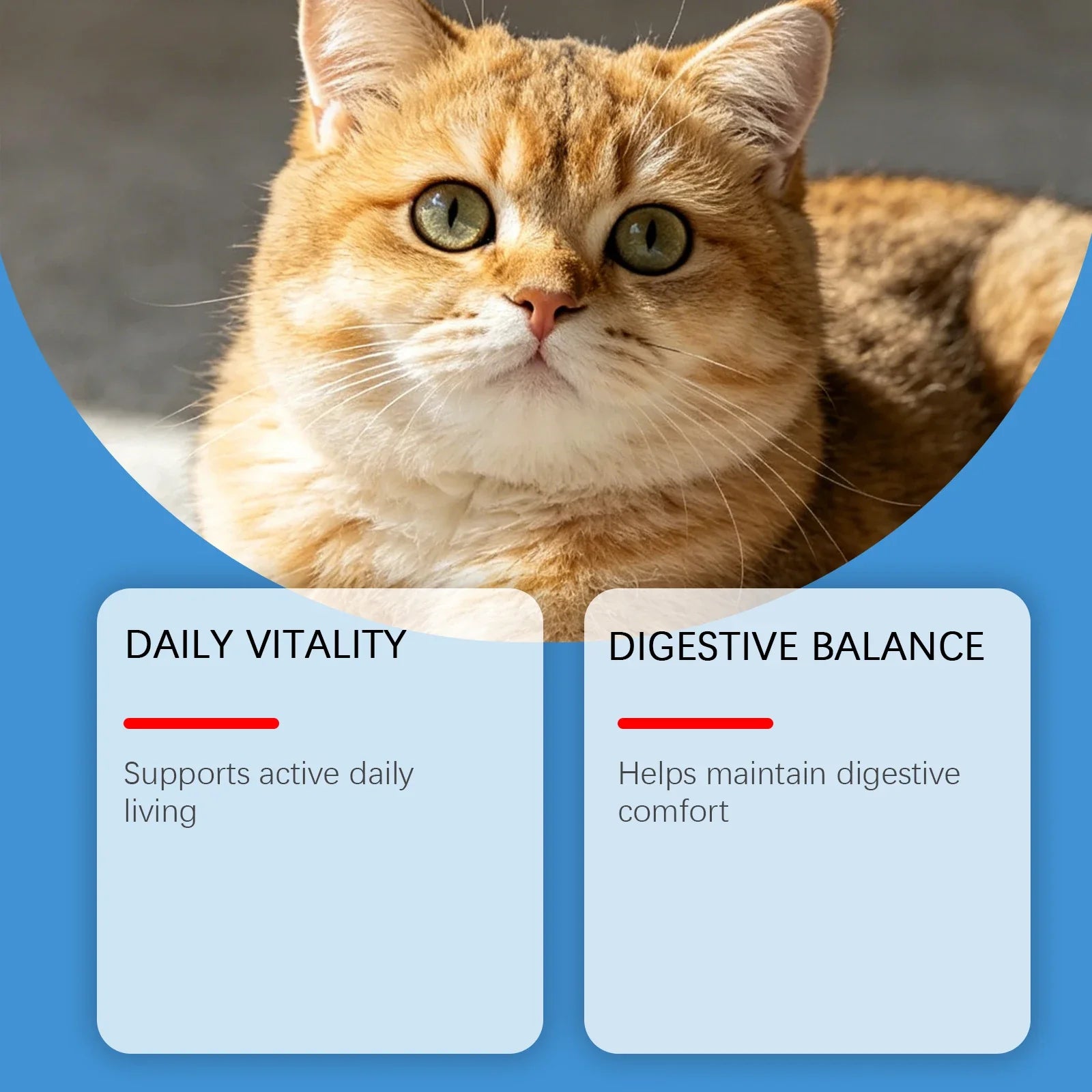 Cat Taurine Supplement Powder, Mild Formula Daily Nutrition Care Powder, Support Kitty Vitality & Wellness