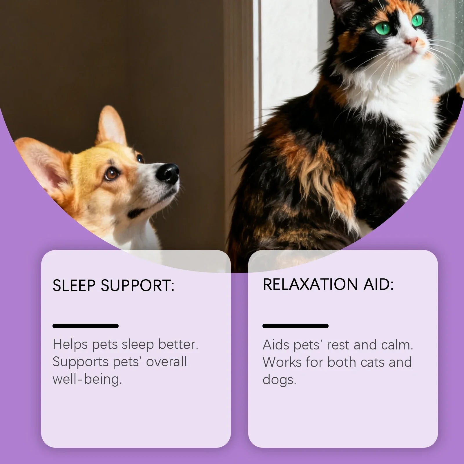 Pet Cat Dog Care Drops Nourishing Relaxation Supplement Liquid Improve Sleep Quality Relieve Stress Calming Support for Pets
