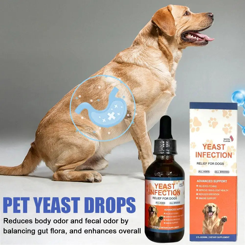 6ml Pet Yeast Infection Drops for Dogs & Cats Natural Herbal Supplement Support Gut Health & Immune System Easy to Administer