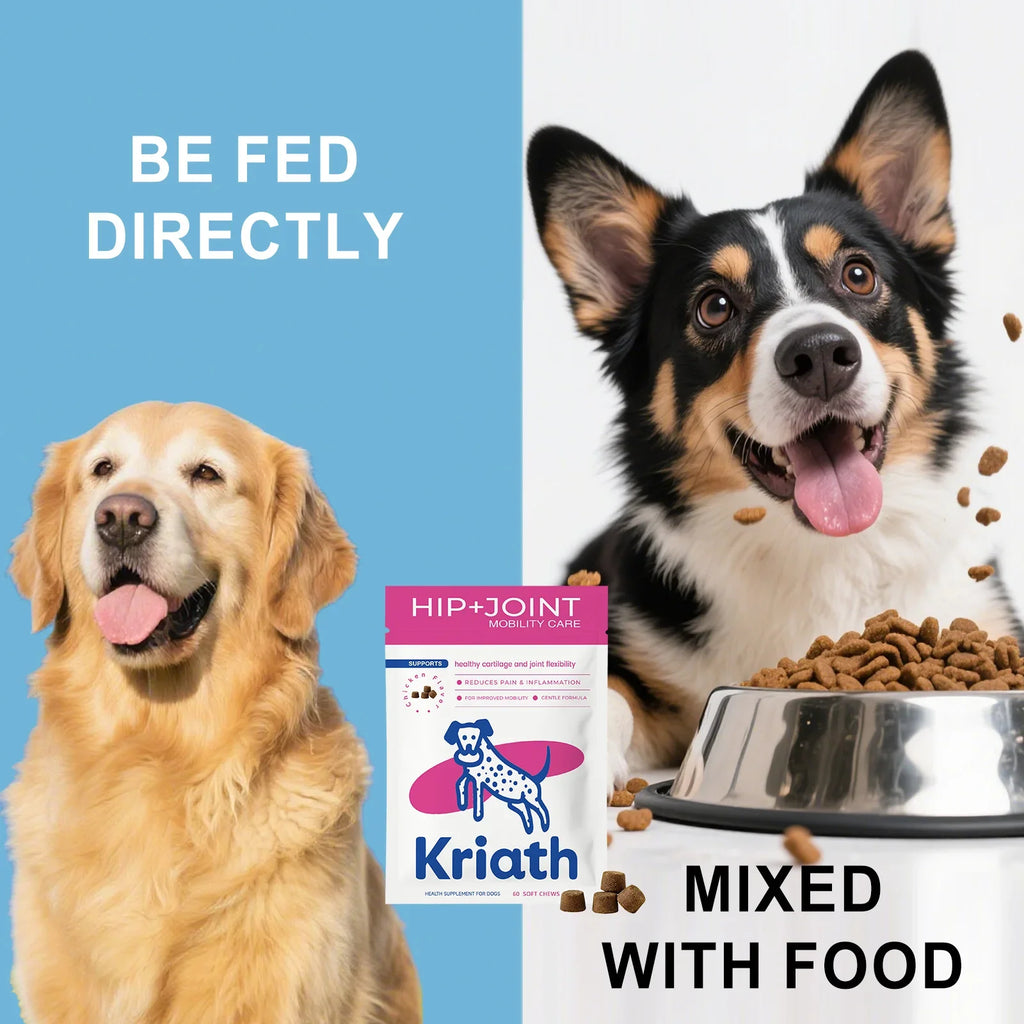 Dog Joint Supplement Soft Chews Cartilage Care Immune Boost Mobility Support Joint Care Support Immune System For All Ages Puppy