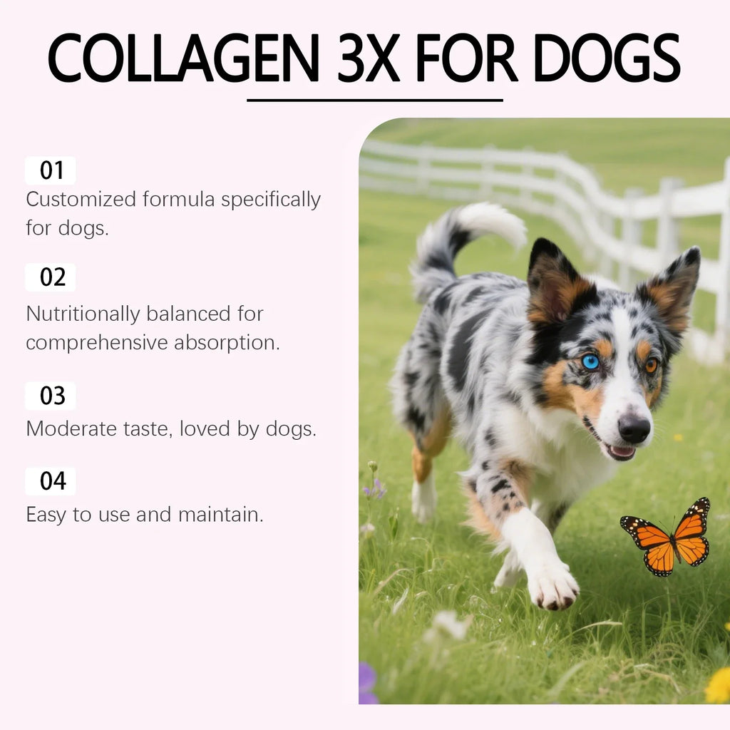 60ml Dog Collagen Drops Support Bone Joint Health Pet Hair Skin Care Dietary Supplement Mild Formula Pet Nutritional Solution