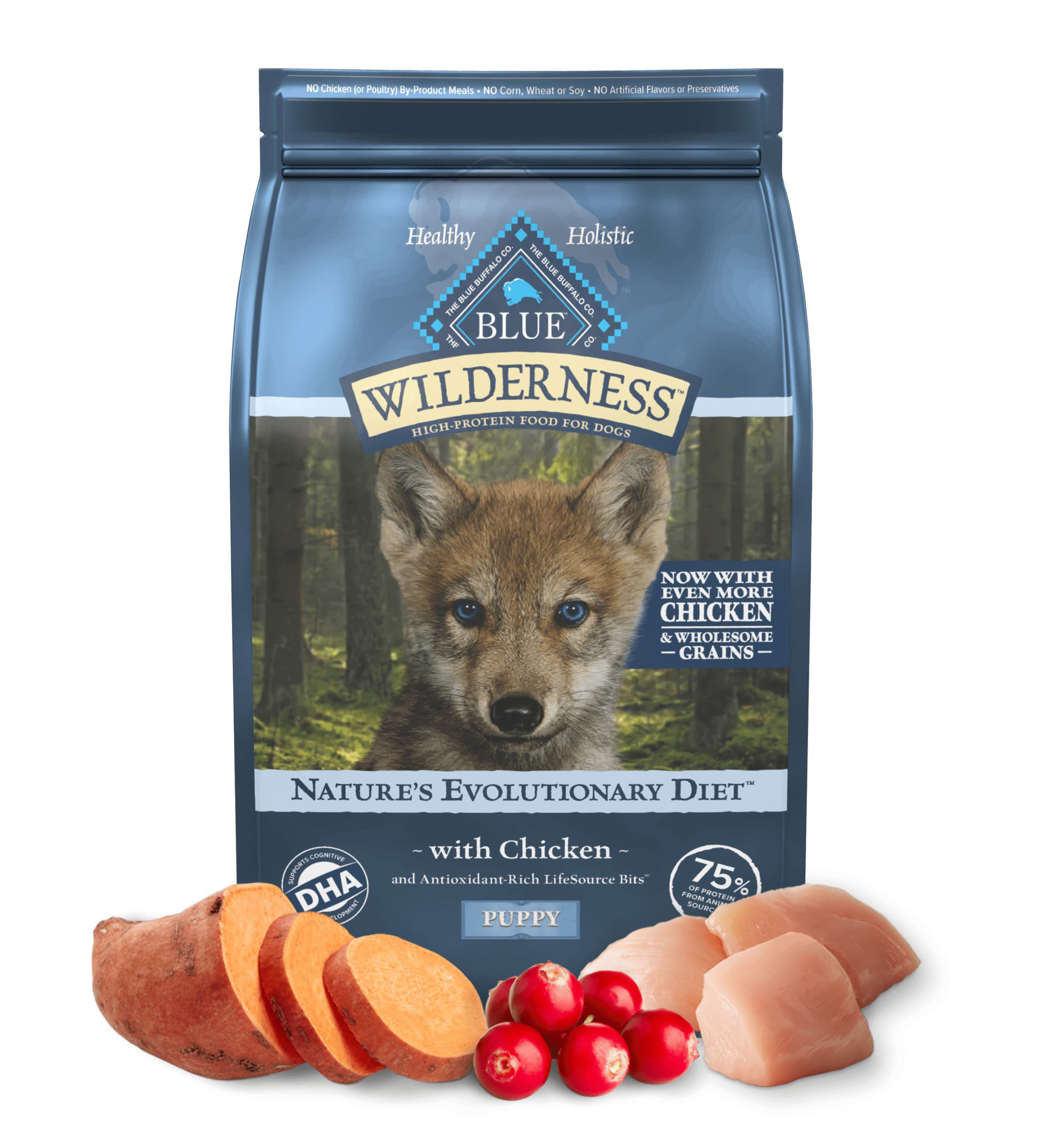 Blue Buffalo Wilderness Puppy Chicken with Wholesome Grains Dry Dog Food